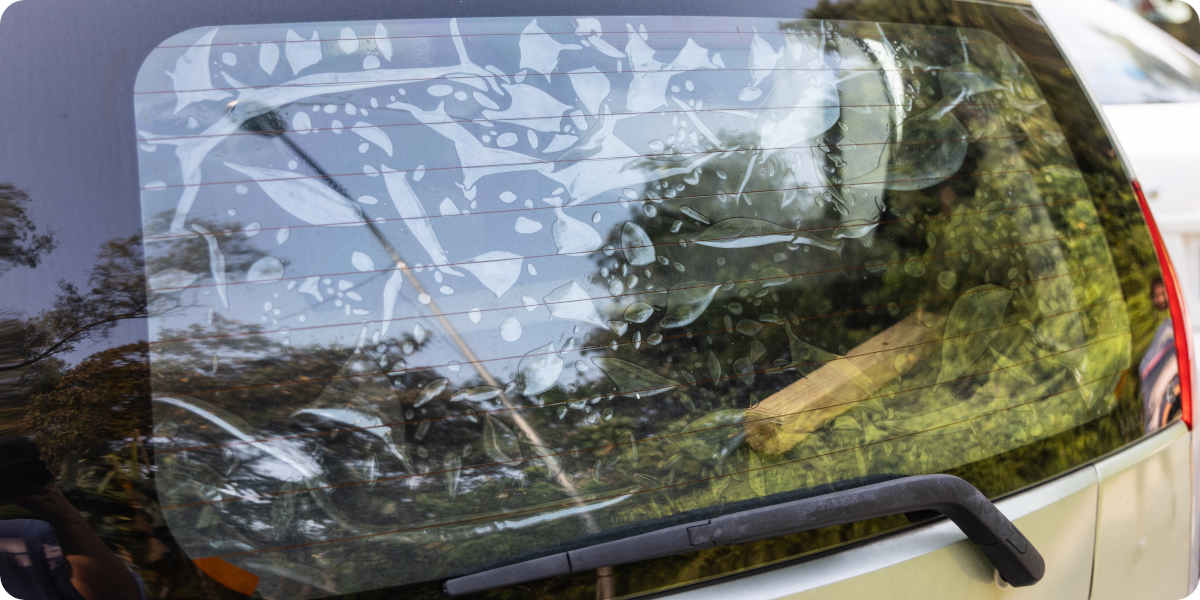 Fotografie einer Folie mit Blasenbildung auf der Heckscheibe eines Autos.